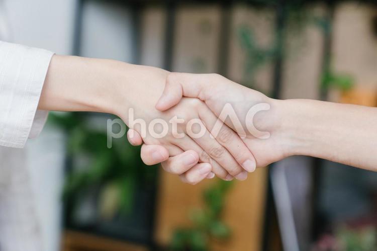 握手的男人和婦女的手, 握手, 在手, 只手, JPG