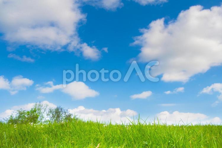 草甸和藍天, 草原, 碧落, 夏天, JPG