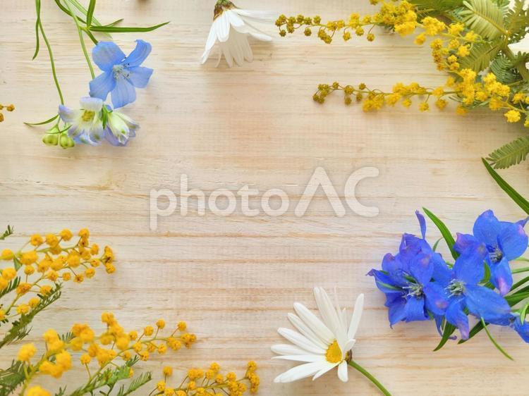 含羞草、瑪格麗特和飛燕草的土氣植物背景, 花, 白花, 蓝花, JPG