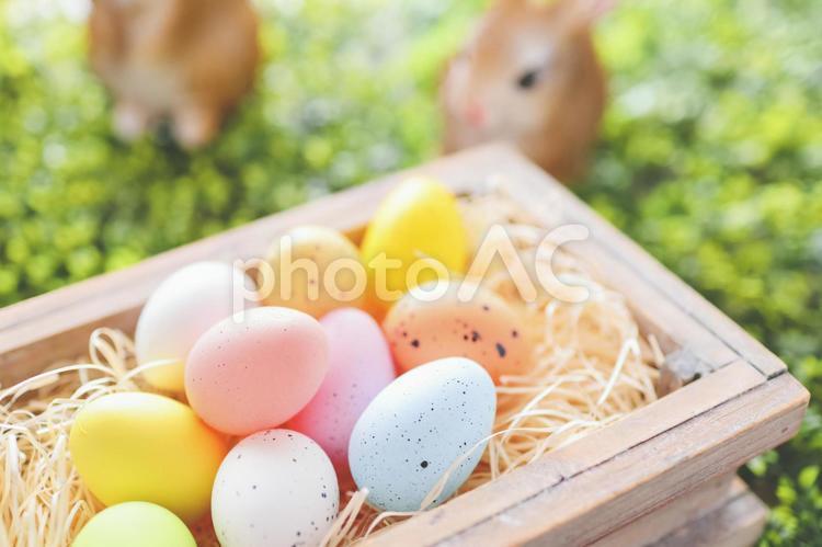 復活節彩蛋, 复活节, 鸡蛋, 兔, JPG